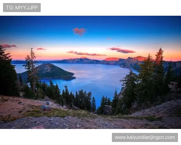 开云平台官网论坛最新活动资讯与玩家交流平台全面解析